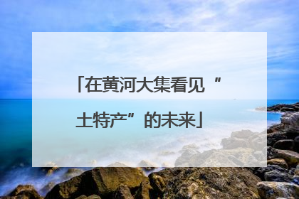 在黄河大集看见“土特产”的未来