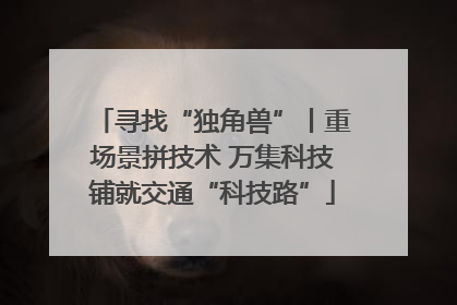 寻找“独角兽”丨重场景拼技术 万集科技铺就交通“科技路”