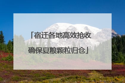 宿迁各地高效抢收 确保夏粮颗粒归仓