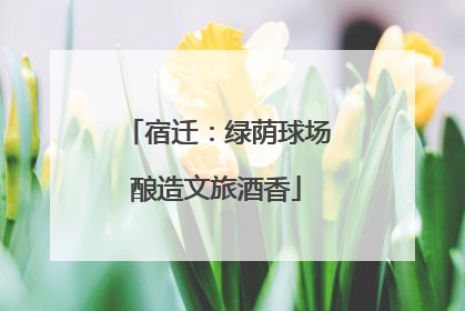 宿迁：绿荫球场酿造文旅酒香