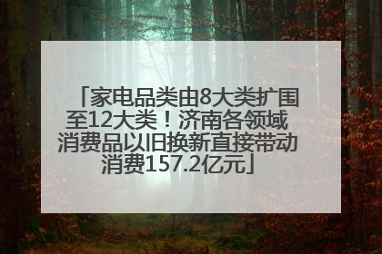 家电品类由8大类扩围至12大类！济南各领域消费品以旧换新直接带动消费157.2亿元