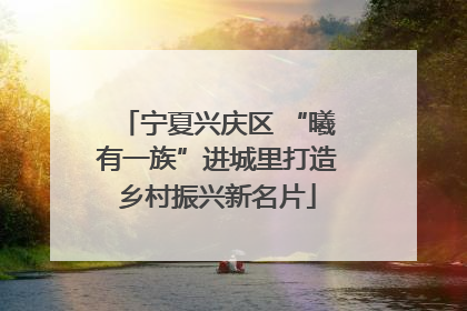 宁夏兴庆区 “曦有一族”进城里打造乡村振兴新名片