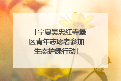 宁夏吴忠红寺堡区青年志愿者参加生态护绿行动