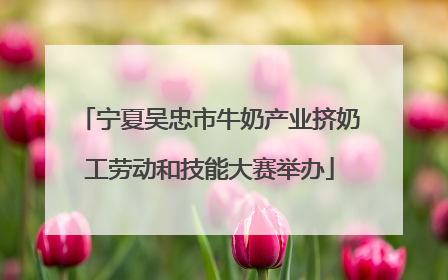 宁夏吴忠市牛奶产业挤奶工劳动和技能大赛举办