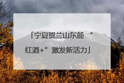 宁夏贺兰山东麓 “红酒+”激发新活力