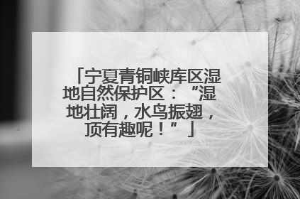 宁夏青铜峡库区湿地自然保护区：“湿地壮阔，水鸟振翅，顶有趣呢！”