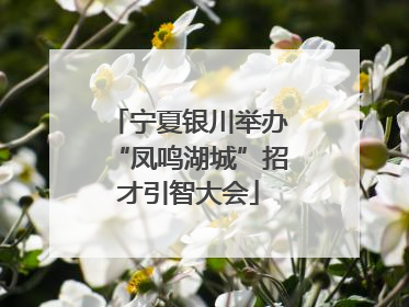 宁夏银川举办“凤鸣湖城”招才引智大会