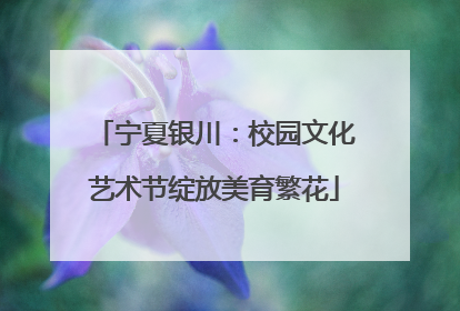 宁夏银川：校园文化艺术节绽放美育繁花