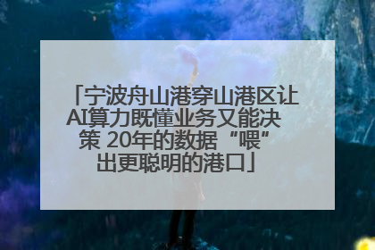 宁波舟山港穿山港区让AI算力既懂业务又能决策 20年的数据“喂”出更聪明的港口