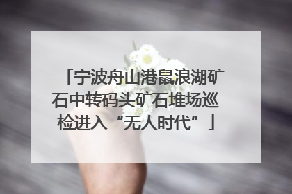 宁波舟山港鼠浪湖矿石中转码头矿石堆场巡检进入“无人时代”