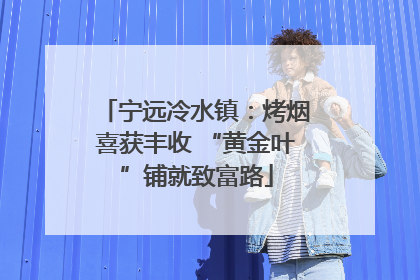 宁远冷水镇：烤烟喜获丰收 “黄金叶”铺就致富路