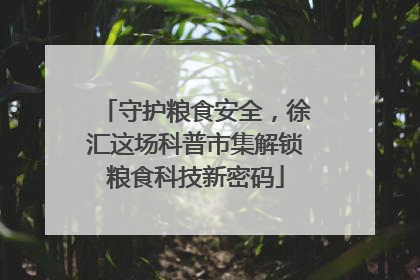 守护粮食安全，徐汇这场科普市集解锁粮食科技新密码