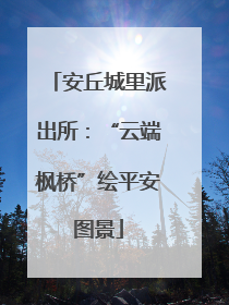 安丘城里派出所：“云端枫桥”绘平安图景