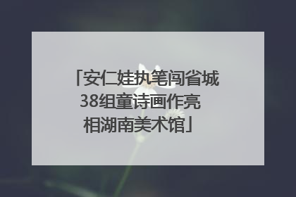 安仁娃执笔闯省城 38组童诗画作亮相湖南美术馆