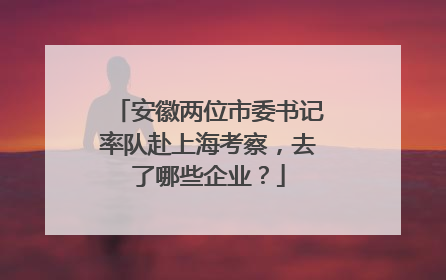 安徽两位市委书记率队赴上海考察，去了哪些企业？