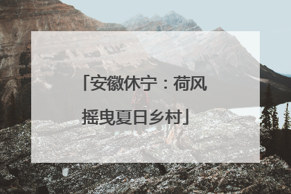 安徽休宁：荷风摇曳夏日乡村