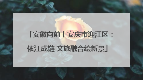 安徽向前丨安庆市迎江区：依江成链 文旅融合绘新景
