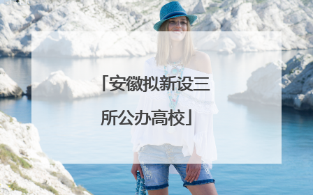 安徽拟新设三所公办高校