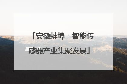 安徽蚌埠：智能传感器产业集聚发展