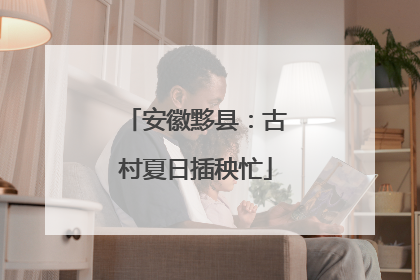 安徽黟县：古村夏日插秧忙