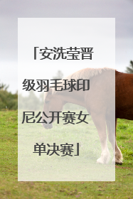 安洗莹晋级羽毛球印尼公开赛女单决赛