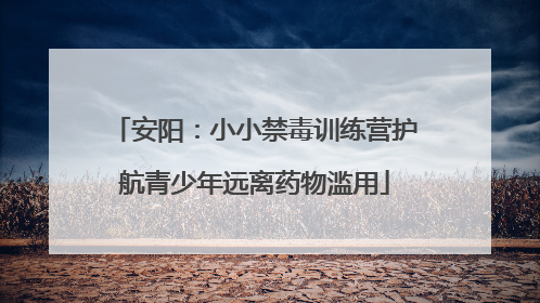 安阳：小小禁毒训练营护航青少年远离药物滥用