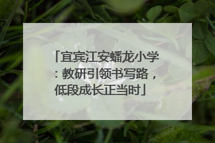 宜宾江安蟠龙小学：教研引领书写路，低段成长正当时