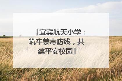 宜宾航天小学：筑牢禁毒防线，共建平安校园