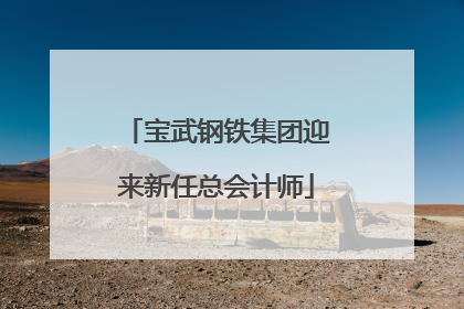 宝武钢铁集团迎来新任总会计师