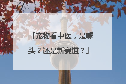 宠物看中医，是噱头？还是新赛道？