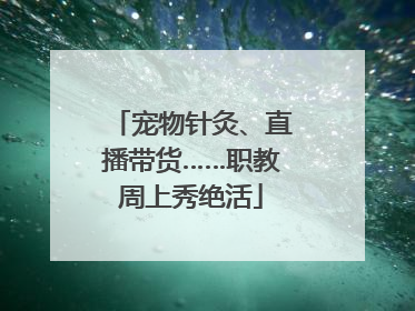宠物针灸、直播带货……职教周上秀绝活