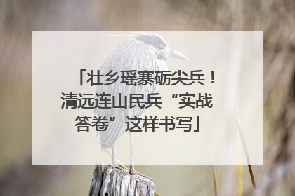 壮乡瑶寨砺尖兵！清远连山民兵“实战答卷”这样书写