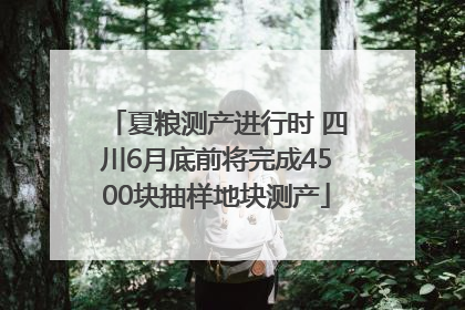 夏粮测产进行时 四川6月底前将完成4500块抽样地块测产