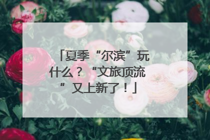 夏季“尔滨”玩什么？“文旅顶流”又上新了！