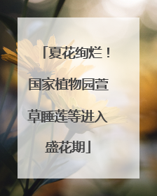 夏花绚烂！国家植物园萱草睡莲等进入盛花期