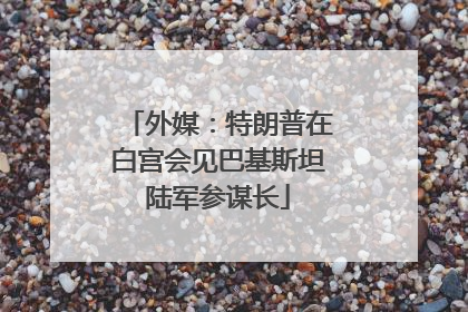 外媒：特朗普在白宫会见巴基斯坦陆军参谋长