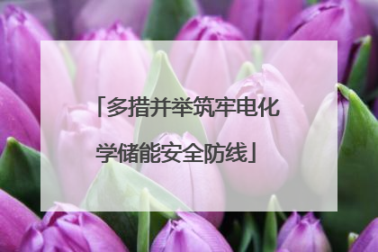 多措并举筑牢电化学储能安全防线