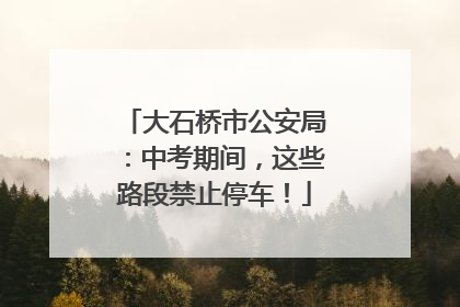 大石桥市公安局：中考期间，这些路段禁止停车！