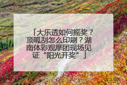 大乐透如何摇奖？顶呱刮怎么印刷？湖南体彩观摩团现场见证“阳光开奖”