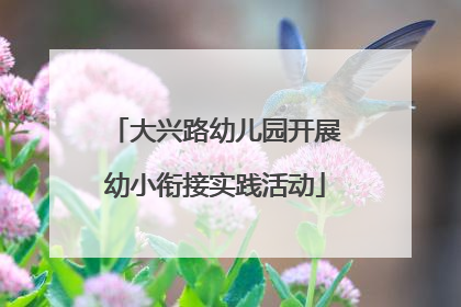 大兴路幼儿园开展幼小衔接实践活动