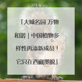 大城名园 万物和谐｜中国植物多样性再添新成员！它只在西藏墨脱
