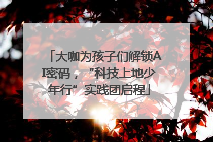 大咖为孩子们解锁AI密码，“科技上地少年行”实践团启程
