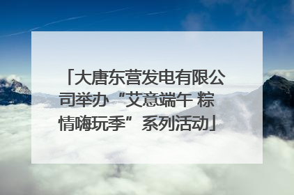 大唐东营发电有限公司举办“艾意端午 粽情嗨玩季”系列活动