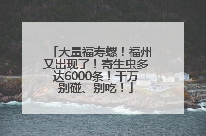 大量福寿螺！福州又出现了！寄生虫多达6000条！千万别碰、别吃！