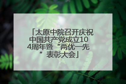 太原中院召开庆祝中国共产党成立104周年暨“两优一先”表彰大会