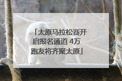 太原马拉松赛开启报名通道 4万跑友将齐聚太原