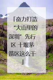 奋力打造“大山里的深圳”先行区 十堰茅箭区这么干