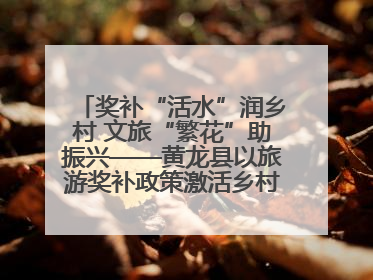 奖补“活水”润乡村 文旅“繁花”助振兴——黄龙县以旅游奖补政策激活乡村振兴新动能