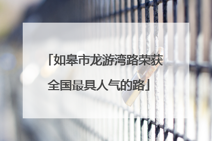 如皋市龙游湾路荣获全国最具人气的路