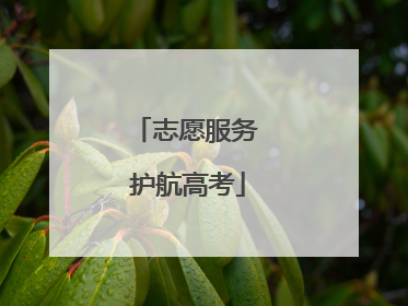 志愿服务 护航高考